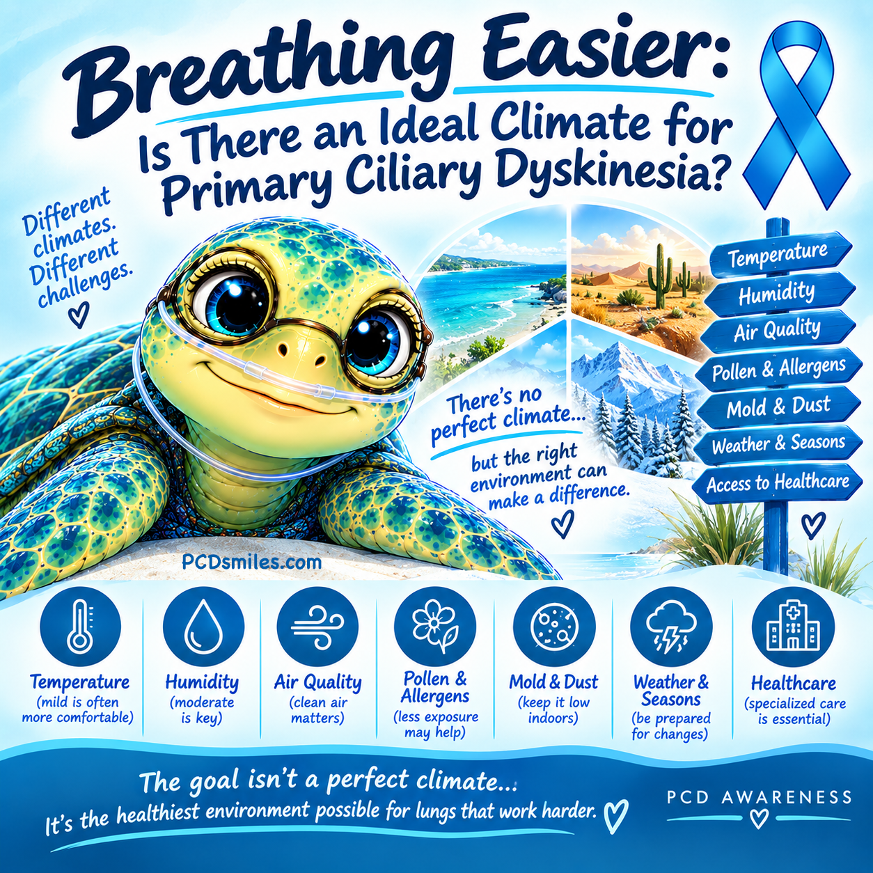 Breathing Easier: Is There an Ideal Climate for Primary Ciliary Dyskinesia?